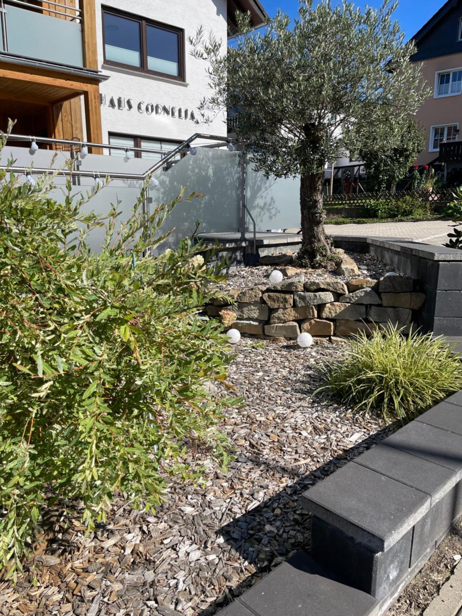 דירות איינרוהר Haus Cornelia מראה חיצוני תמונה